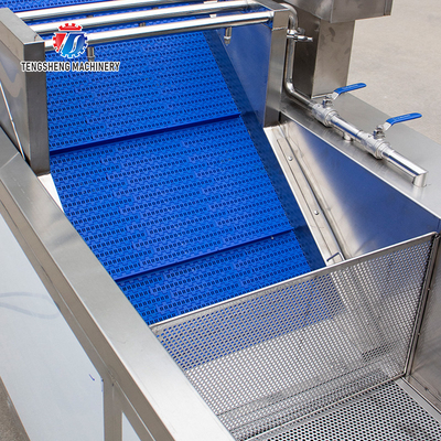 Tengsheng Vegetable Cleaning Machine , Multi Directional Sundries Filter Spinach Washing Machine