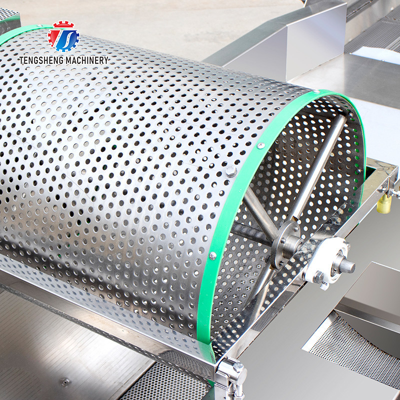 1000KG/H Vegetable cleaning equipment 304 stainless steel eddy current vegetable washing machine