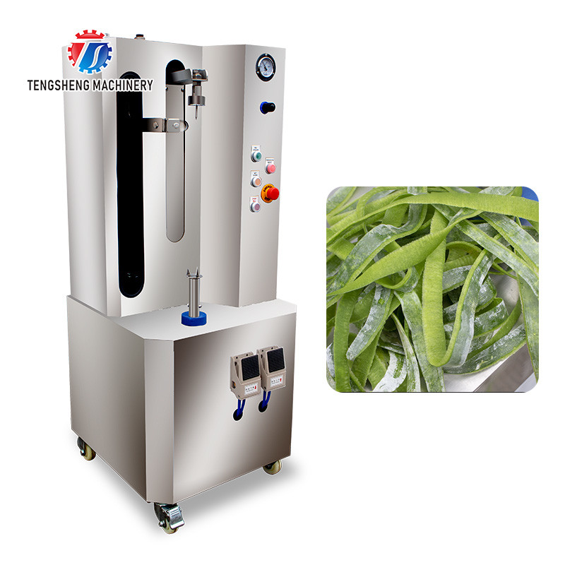 1.0KW 90KG Vertical single knife peeling machine pumpkin wax gourd