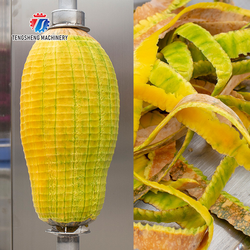 1.0KW 90KG Vertical single knife peeling machine pumpkin wax gourd