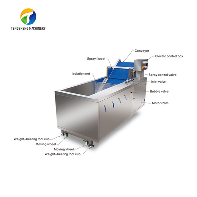 2.6KW Impurity Filter Fruit And Vegetable Washing Machine Citrus Apple