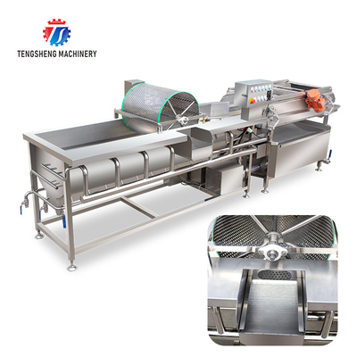 1000KG/H Large vegetables and fruits eddy current wave washing machine vegetable eddy current washing machine