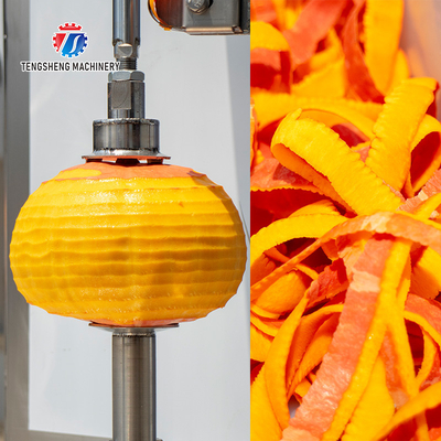 1.0KW 120KG  Watermelon Fruit And Vegetable Peeler Machine Industrial Electric Food Processor