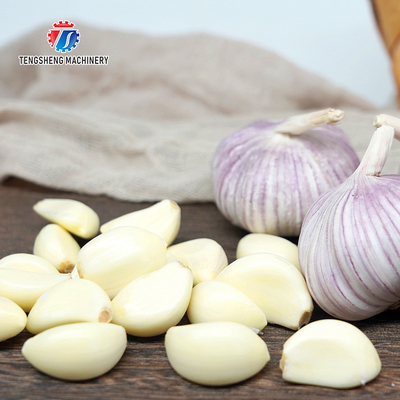 2.2KW Garlic Red Onion Peeling Machine Small Garlic Peeling Machine