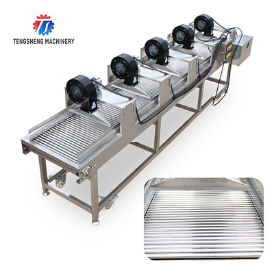 350KG 380V Vegetable air drying line fruit parallel air drying machine packaging air drying