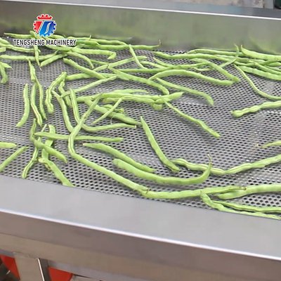 Fruit And Vegetable Vibrating Drainer Stainless Steel Vibrating Drainer