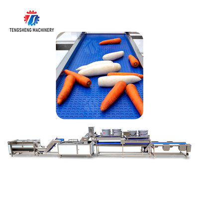 Fruit and vegetable roller bubble washing and air-drying picking line