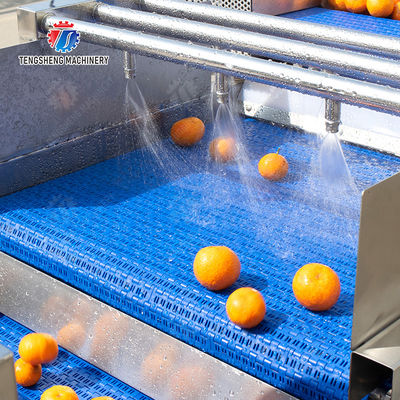 Fruit and vegetable selection  washing and drying production line
