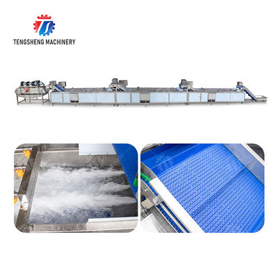 TS-X200 Bubble Vegetable Washing Machine and Silver Fruit And Vegetable Processing Line for Vacuum-packed Potato Strips