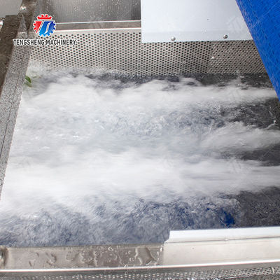 TS-X200 Bubble Vegetable Washing Machine and Silver Fruit And Vegetable Processing Line for Vacuum-packed Potato Strips