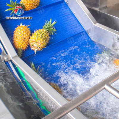 TS-X200 Bubble Vegetable Washing Machine and Silver Fruit And Vegetable Processing Line for Vacuum-packed Potato Strips