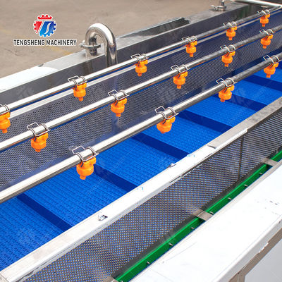 TS-X200 Bubble Vegetable Washing Machine and Silver Fruit And Vegetable Processing Line for Vacuum-packed Potato Strips