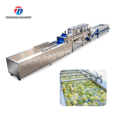 2025 Silver Fruit And Vegetable Processing Line for Processing