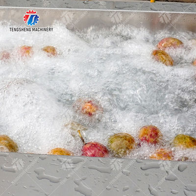 2025 Silver Fruit And Vegetable Processing Line for Processing