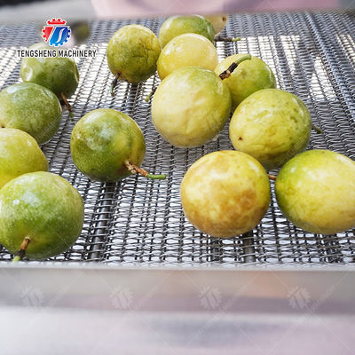 2025 Silver Fruit And Vegetable Processing Line for Processing