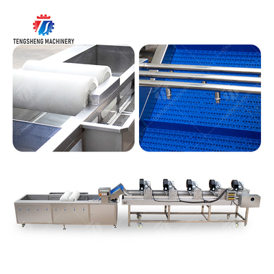 Fruits cleaning and drying production line