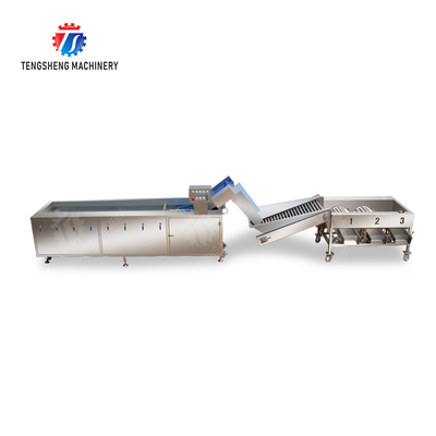 Fruit bubble washing and sorting production line Fruit Vegetable FOOD processing production Machine