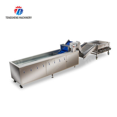 Fruit bubble washing and sorting production line Fruit Vegetable FOOD processing production Machine