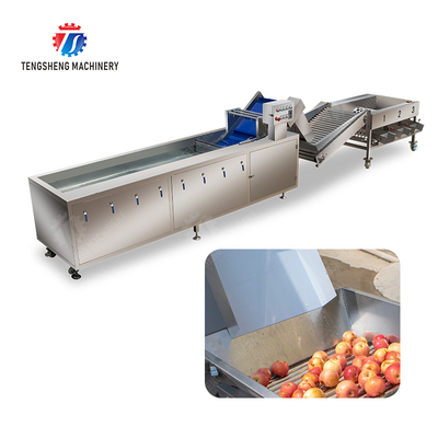 Fruit bubble washing and sorting production line Fruit Vegetable FOOD processing production Machine