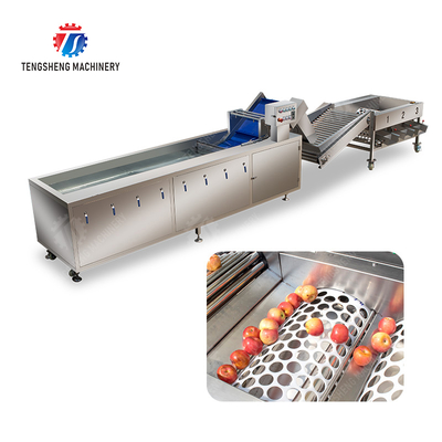 Fruit bubble washing and sorting production line Fruit Vegetable FOOD processing production Machine