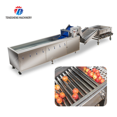 Fruit bubble washing and sorting production line Fruit Vegetable FOOD processing production Machine