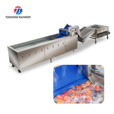 Fruit bubble washing and sorting production line Fruit Vegetable FOOD processing production Machine