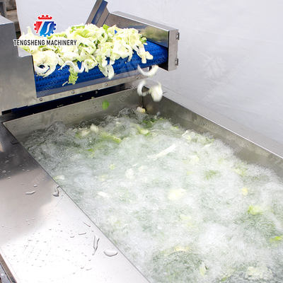 Fruit and vegetable cutting, hoisting and washing production line