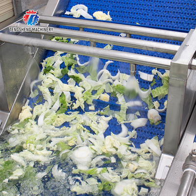 Fruit and vegetable cutting, hoisting and washing production line