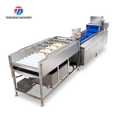 Vegetable and fruit brush and washing production line