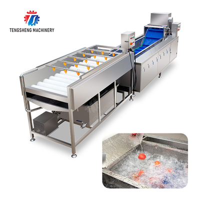 Vegetable and fruit brush and washing production line
