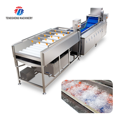 Vegetable and fruit brush and washing production line