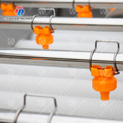 Vegetable and fruit brush and washing production line