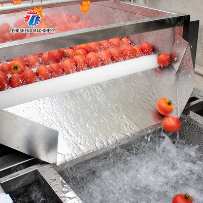 Vegetable and fruit brush and washing production line