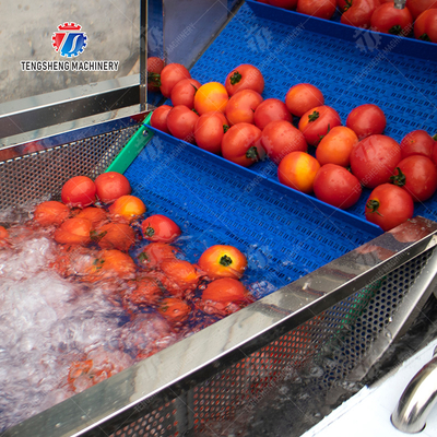 Vegetable and fruit brush and washing production line