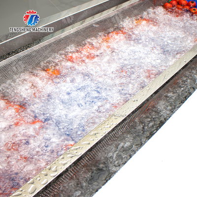Vegetable and fruit brush and washing production line
