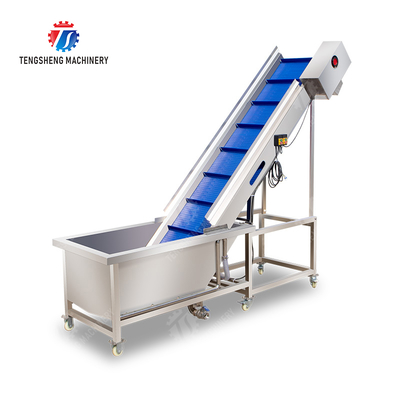 Pre-foaming hoisting roller brush washing production line Fruit Vegetable FOOD processing production Machine
