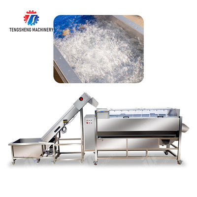 Pre-foaming hoisting roller brush washing production line Fruit Vegetable FOOD processing production Machine