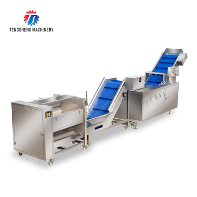 Roller brush bubble washing production line Fruit Vegetable FOOD processing production Machine