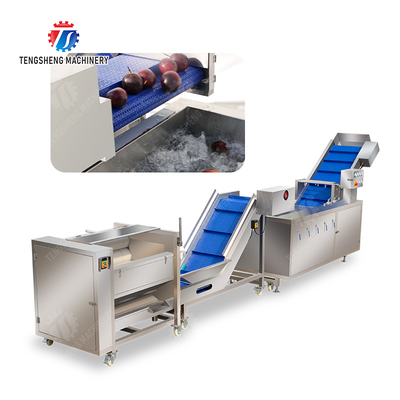 Roller brush bubble washing production line Fruit Vegetable FOOD processing production Machine