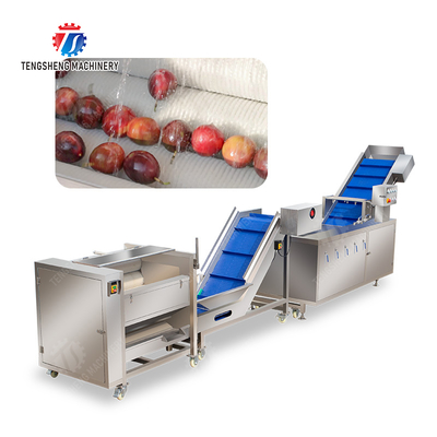 Roller brush bubble washing production line Fruit Vegetable FOOD processing production Machine