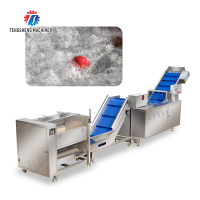 Roller brush bubble washing production line Fruit Vegetable FOOD processing production Machine
