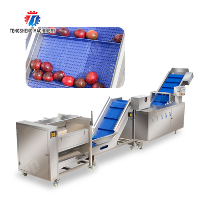 Roller brush bubble washing production line Fruit Vegetable FOOD processing production Machine
