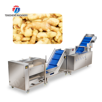 Roller brush bubble washing production line Fruit Vegetable FOOD processing production Machine