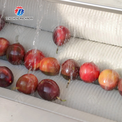 Roller brush bubble washing production line Fruit Vegetable FOOD processing production Machine
