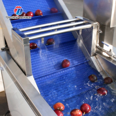 Roller brush bubble washing production line Fruit Vegetable FOOD processing production Machine