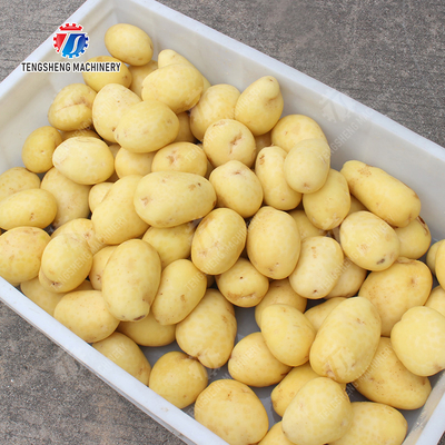 Roller brush bubble washing production line Fruit Vegetable FOOD processing production Machine