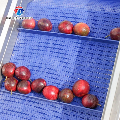 Roller brush bubble washing production line Fruit Vegetable FOOD processing production Machine
