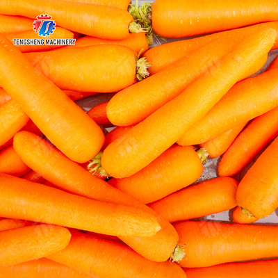 Roller brush bubble washing production line Fruit Vegetable FOOD processing production Machine
