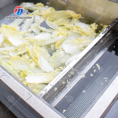 Single cylinder fruit and vegetable washing machine with slag separator Leaves Vegetables Onions Leafy vegetables Cabbage varieties Herbs Fruiting vegetables Wash Washer Washing Cleaning processing