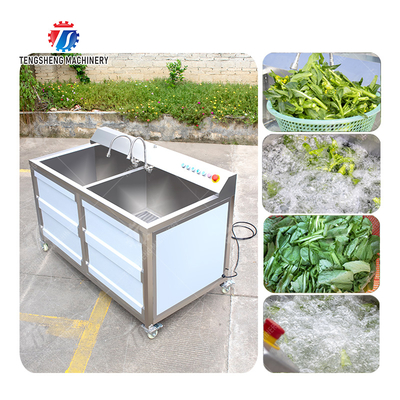 Fruit Orange Leaves Vegetables sward beans  Herbs Fruiting vegetables Wash Washer Washing Cleaning processing production Double cylinder fruit and vegetable washing machine